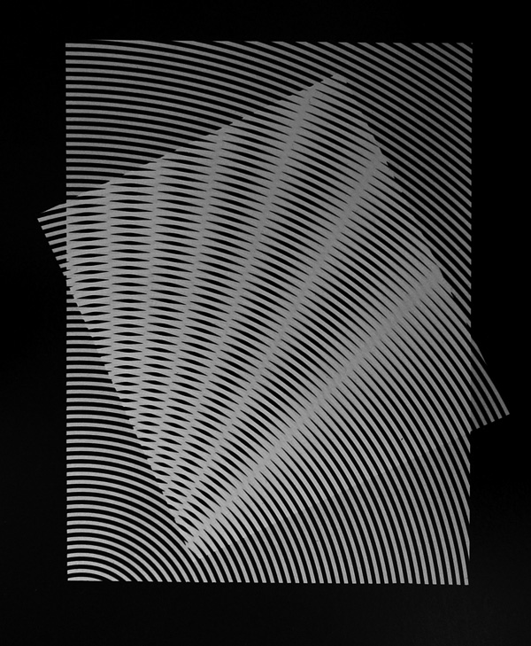 Interferenz - Fotogramme